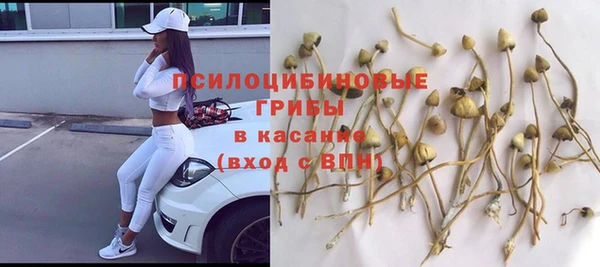 синтетический гашиш Белокуриха
