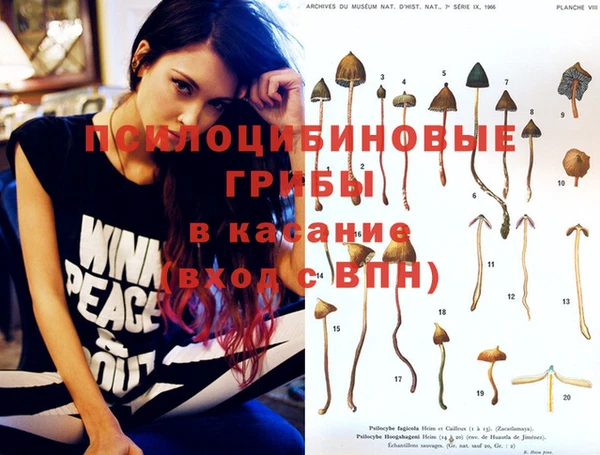 прущие грибы Белоозёрский